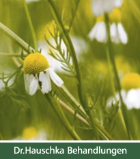 Dr. Hauschka Behandlungen