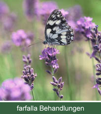 farfalla Behandlungen